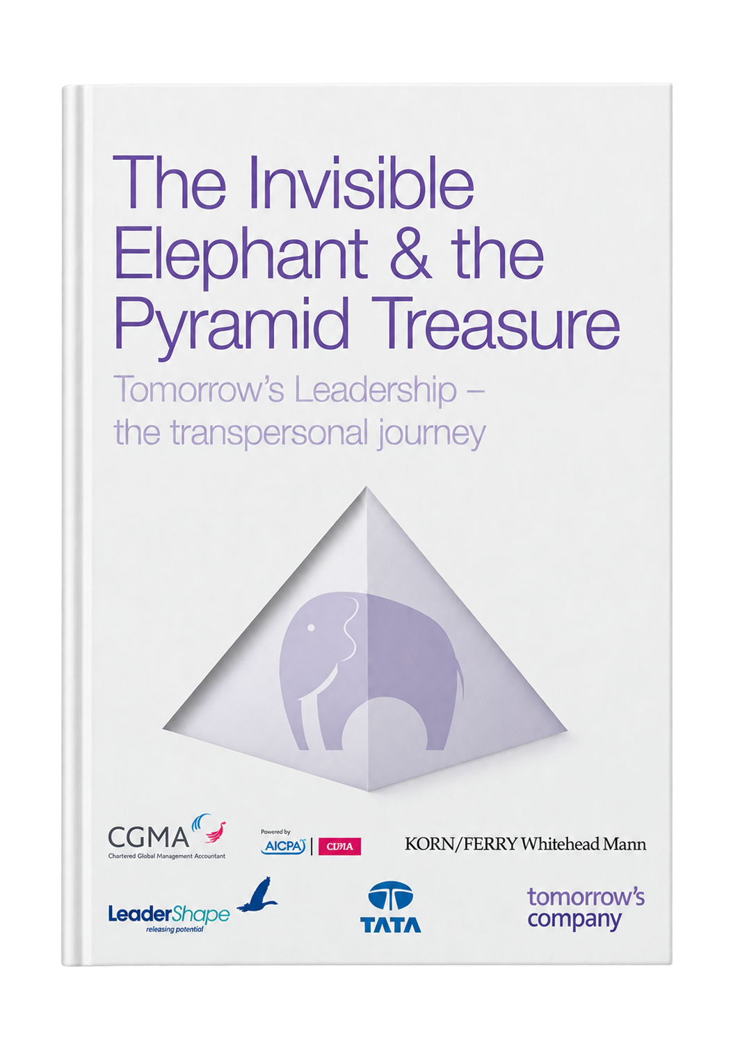 The Invisible Elephant and the Pyramid Treasure
